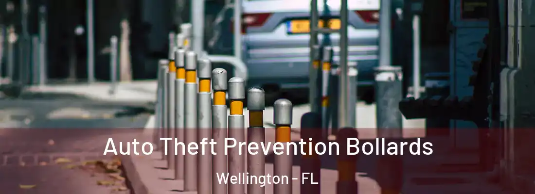  Auto Theft Prevention Bollards Wellington - FL