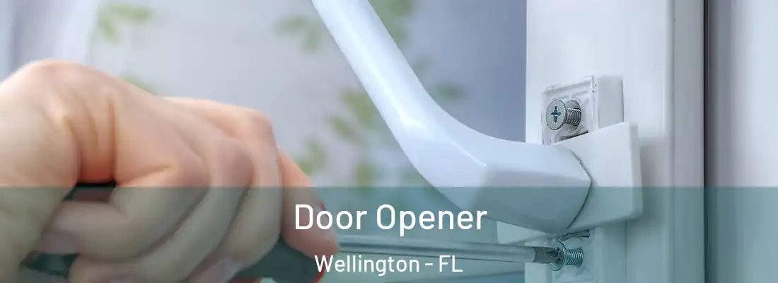  Door Opener Wellington - FL