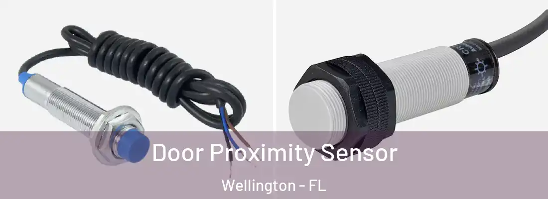 Door Proximity Sensor Wellington - FL