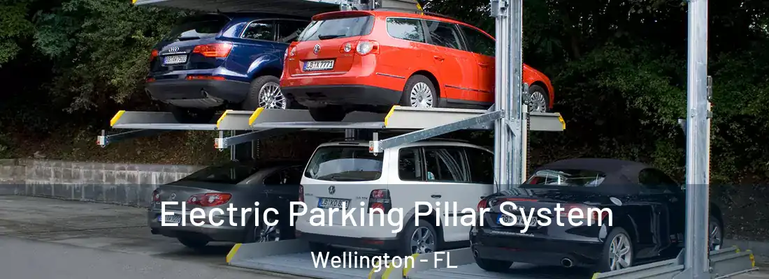  Electric Parking Pillar System Wellington - FL