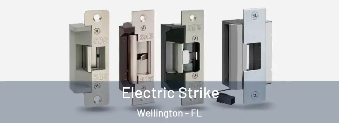  Electric Strike Wellington - FL