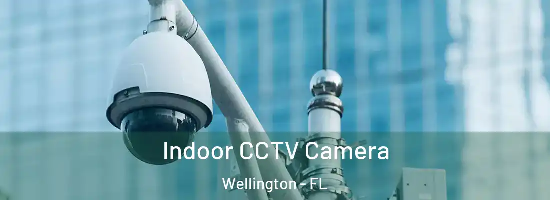Indoor CCTV Camera Wellington - FL