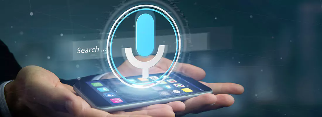 Enhance Security with Voice Recognition Access Systems in Wellington, FL