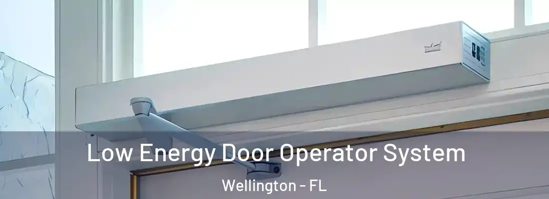  Low Energy Door Operator System Wellington - FL