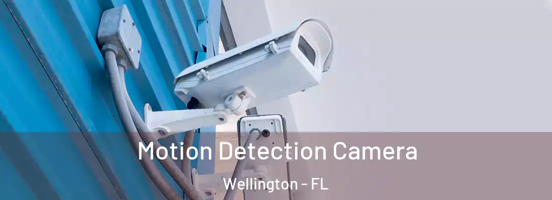  Motion Detection Camera Wellington - FL