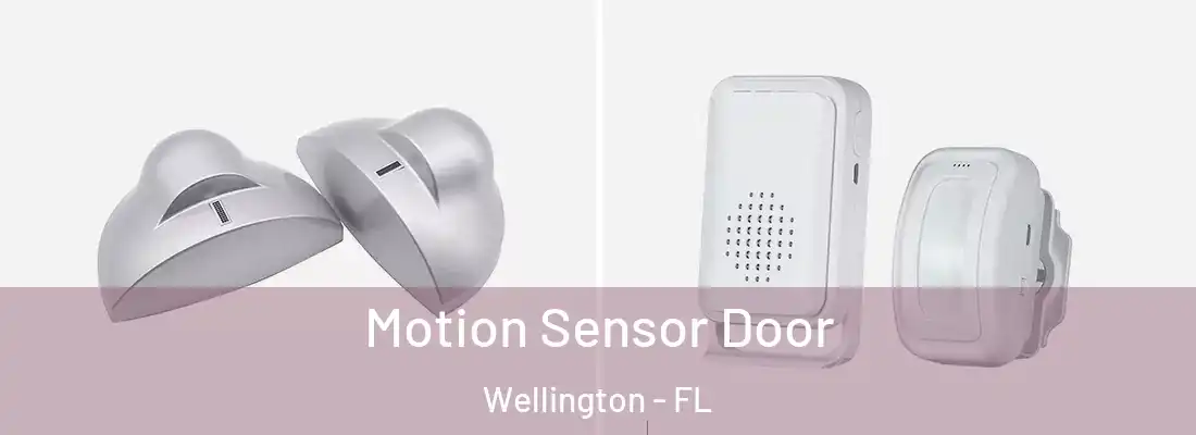 Motion Sensor Door Wellington - FL